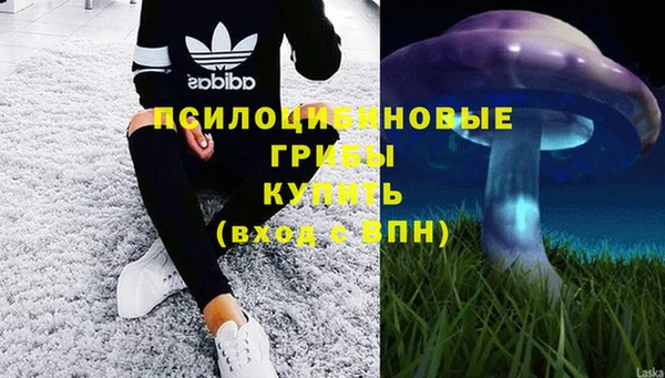 MESCALINE Зеленокумск