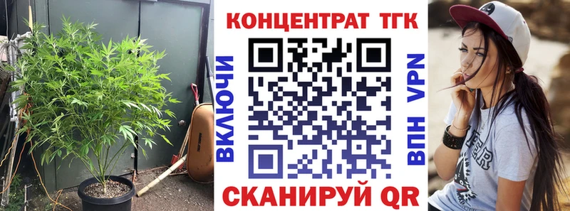 ТГК вейп с тгк  Купить где  Вытегра 
